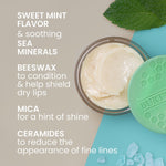 Sweet Mint Lip Treatment with Sea Minerals - US 9624
